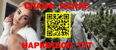 прущие грибы Среднеуральск