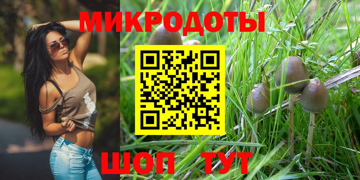 Псилоцибиновые грибы Psilocybine cubensis  Вход с VPN  Острогожск 
