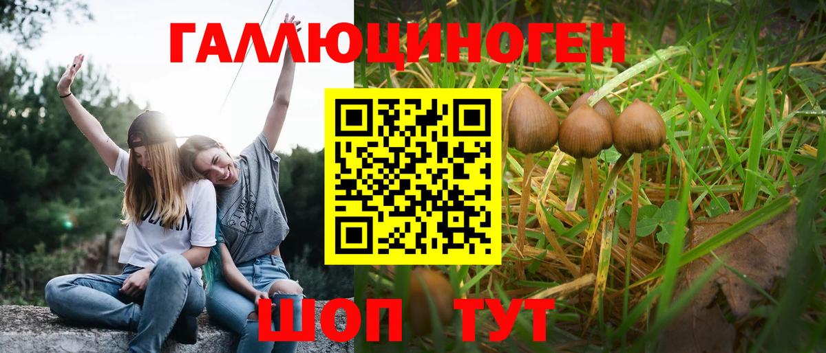 Псилоцибиновые грибы MAGIC MUSHROOMS Острогожск